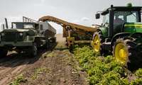Expert: Scientific planning can cut 30m tons of agricultural waste