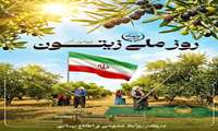 Iran marks National Olive Day 