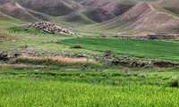 Iranian official highlights role of rangelands, pastoralists in sustaining ecosystems