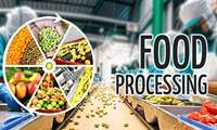 Agro-processing Industries, non-oil exports vital for food security: Official 