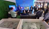 South Khorasan showcases aquaculture potential at Iran - Afghanistan Expo