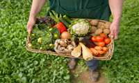 Iran ranks 79th globally in organic production 