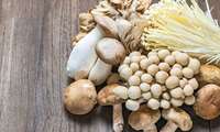 Tehran tops Iran’s mushroom production