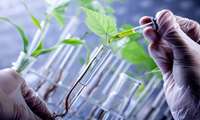 Iran launches 20 nationwide agricultural research projects