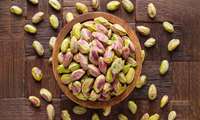 Harvest of over 1,000 tons of pistachios underway in Southern Kerman