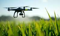 Iranian scientists reach 99 percent accuracy in detecting wheat yellow rust