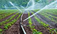 Iran urges higher water, soil productivity in agriculture