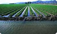 Iran advancing sustainable development via water, soil projects, deputy minister says