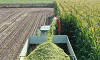 Off-season forage harvest underway across Tehran province