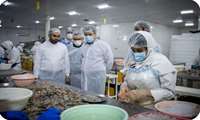 Khuzestan’s aquaculture exports reach over 8 countries worldwide: Official 