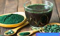 Bushehr leads Iran in spirulina production