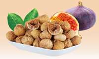 Fars province begins fig harvest as exports to China, Europe expand