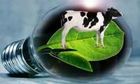 Fars province transforms livestock waste into clean energy