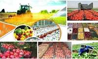 Iran’s agricultural sector records 5.5 percent growth despite drought