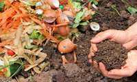 Science, tech, innovation to help reduce agricultural waste, AREEO experts say