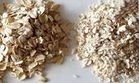 Flaked grain processing plant opens in Qom province