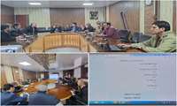 Iran introduces software to calculate optimal seeding rates for field crops