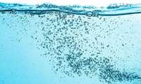 Iran advances nano-bubble tech to bolster aquaculture food security