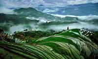 104 sites recognized as Globally Important Agricultural Heritage Systems