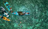 Iran sees fisheries as strategic driver of food security 