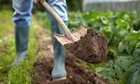 Iran, Italy launch new partnership on water, soil management