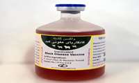 Kerman launches production line of 40-dose Black Disease Vaccine 