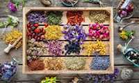 Iran unveils plan for national medicinal plants development roadmap