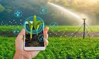 Digital agriculture inevitable for Iran’s agricultural Future: New Study 