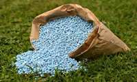 Iran’s fertilizer use remains below global average, official says