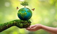 Iran steps up conservation, restoration of its largest natural ecosystem
