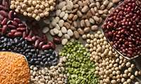 Azarshahr, Iran’s legume capital, Mideast processing hub