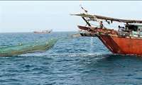 Iran calls for stronger cooperation to combat illegal fishing