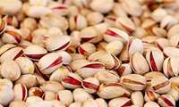 Iran’s pistachio exports to Europe reach €27m in 3 months