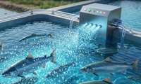 Nanobubble tech boosts agricultural, aquaculture productivity in Iran’s Markazi Province