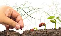 CRISPR tech seen as key to boosting food security in Iran, official says 
