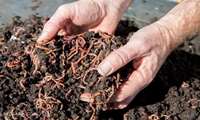 Granulated compost fertilizer plant opens in Mazandaran