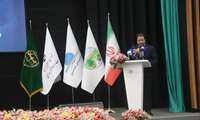 Iran at global forefront in combating desertification, official Says