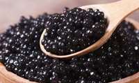 Kohgiluyeh-Boyerahmad raises caviar output elevenfold
