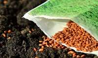 Iranian scientists to unveil 40 hybrid seed varieties in 2026