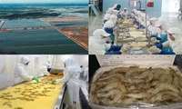 Iran inaugurates 1,000-ton fish processing plant in west