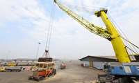 Clearance of imported livestock inputs accelerated: IVO