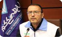 Head of IVO assures stable meat supply amid war 