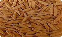 AREEO says working on basic rice seed varieties