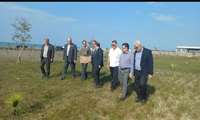 Iran to expand coastal green belts, forest parks