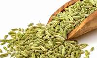 Iran’s stock exchange to trade fennel soon