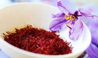 Khorasan Razavi tops Iran in saffron production 