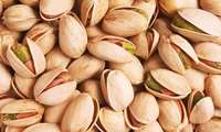 Khorasan Razavi Pistachio exports reach 11 countries