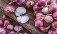 Lorestan is Iran’s Shallot production powerhouse, official says