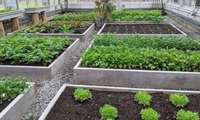 Gilan’s villa gardens an opportunity for farmers, official says 