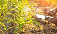 Market reform essential for Iran’s shift to digital agricultural trade, researcher says 
